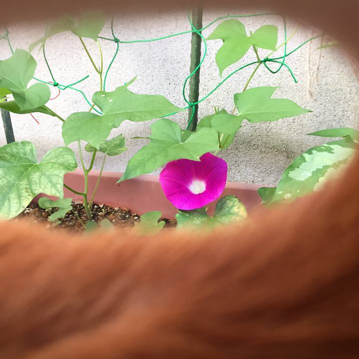 Ae2985d7 0dab 410e a235 2d0103aa64e1