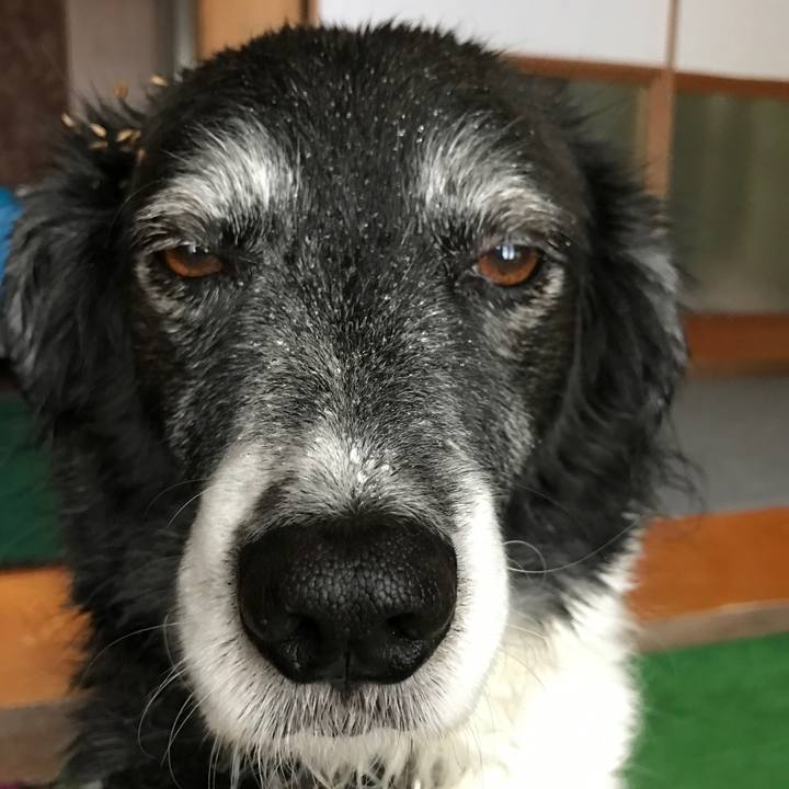 Ae2a03d3 c955 4e8e bd4d a5e57b22646b