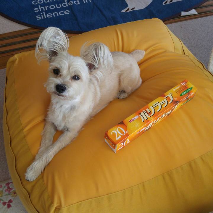 Ae2a54ef ed3e 4a64 af65 c4887e846d54