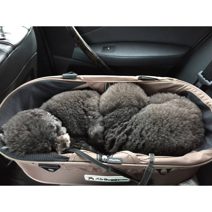 Ae2aa1d1 ca96 484f b3fb 4ee36010e5ca