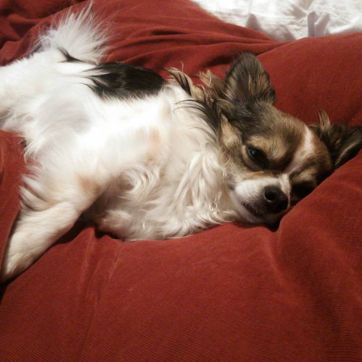 Ae2ad657 68bb 4946 a005 1fe7c62aa6c8