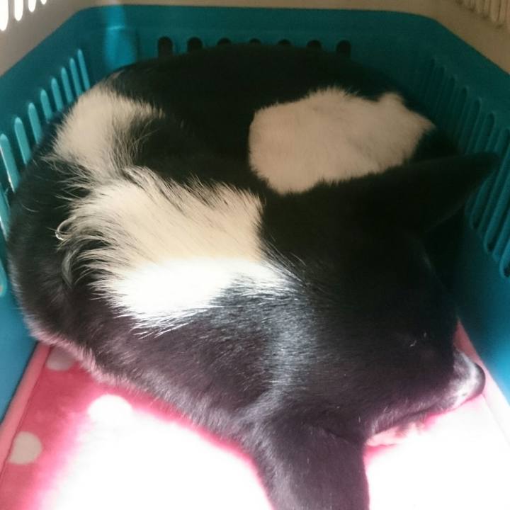 Ae2aeafa 416a 4409 bd28 61fe93b8f7cb