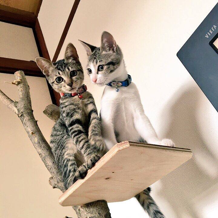 Ae2b045e f8ea 46aa a8b0 d978b35d0274