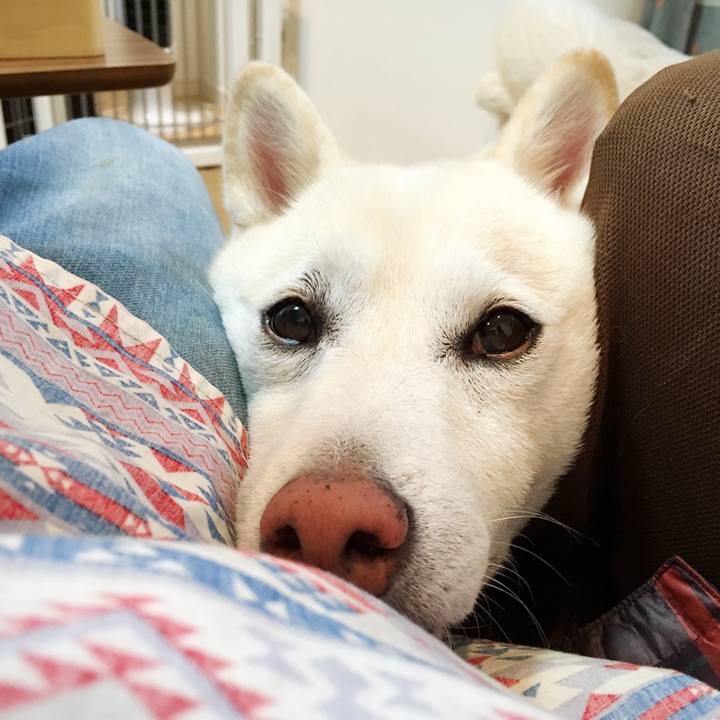 Ae2bd100 b530 444a acf1 b54a36698aa3