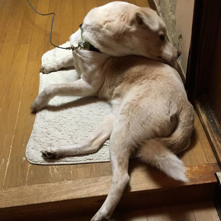 Ae2c4722 d6f6 4cc3 83a4 b2d878a65d10