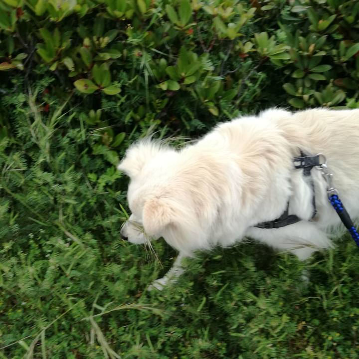 Ae2c610b e130 47de 8351 ee1e5634efdb