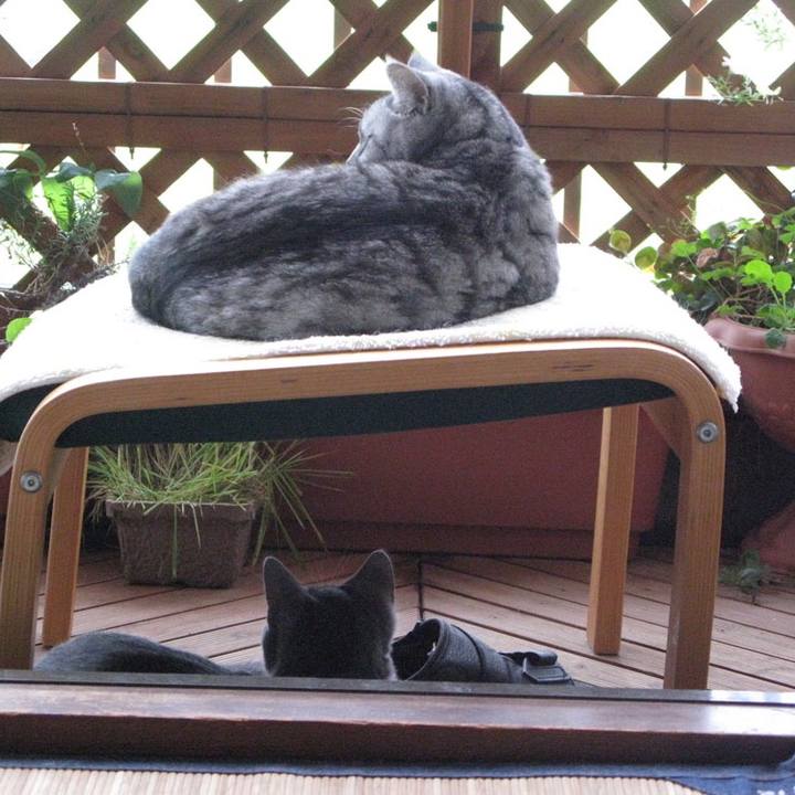 Ae2c888d a2e6 42a9 b586 d919e8dbab92