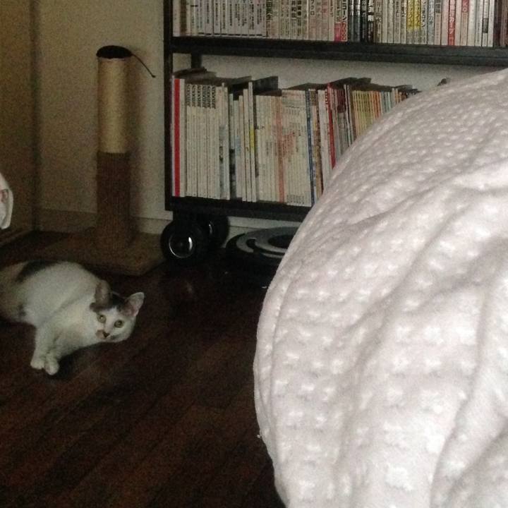 Ae2c920b 6acc 440c ac39 50da0340071d