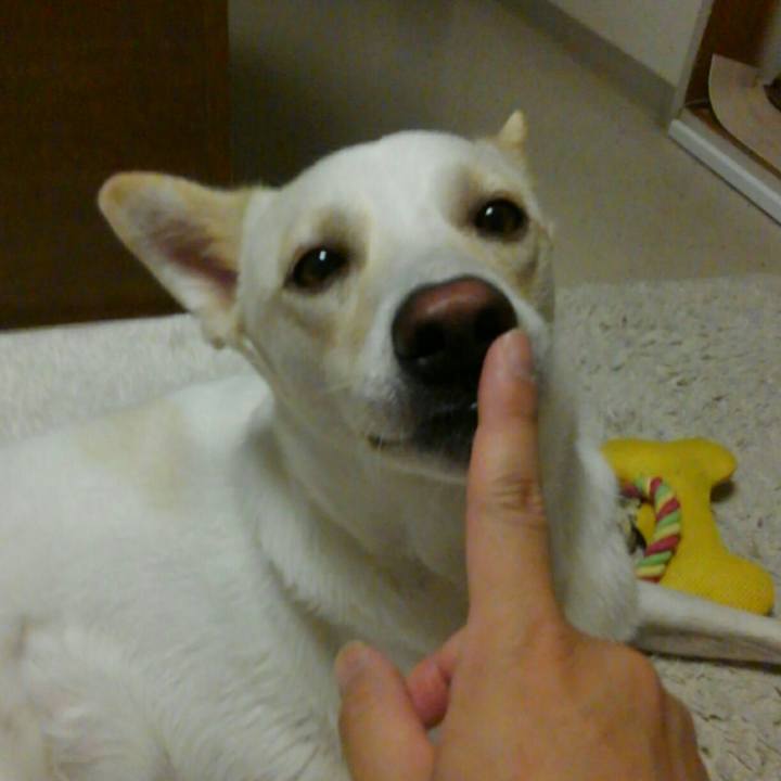 Ae2c988c 1aee 485a 9479 87ad52690e41