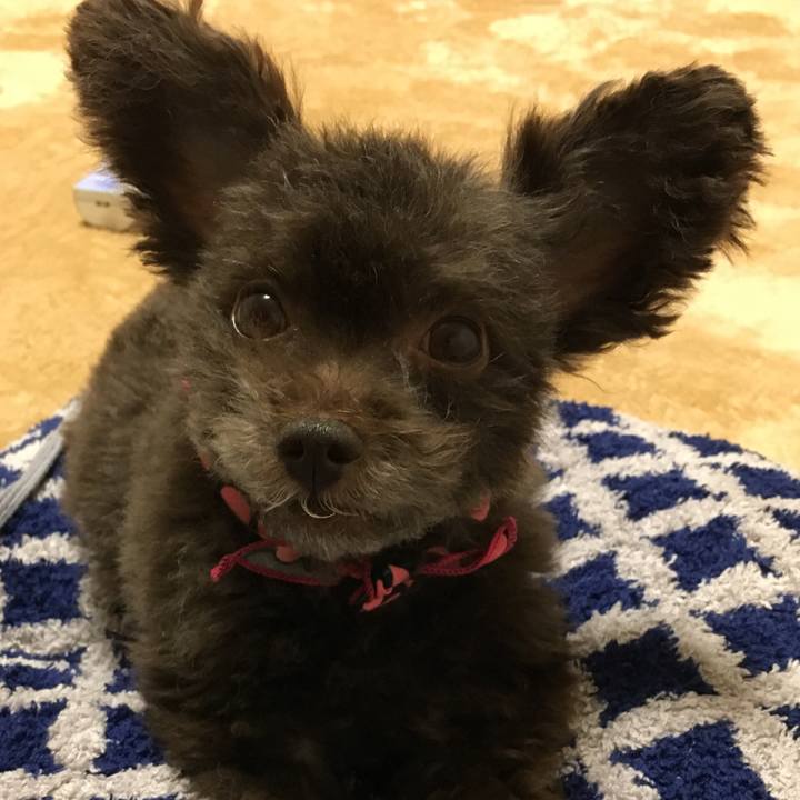 Ae2de943 cf46 442a a7f7 2cafc0d1ac26