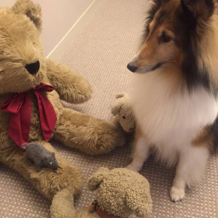 Ae2dfaf5 ade7 465e af13 6bf156b49e9a