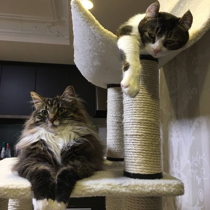 Ae2ea28e d122 45d9 b56d bae471201fcb