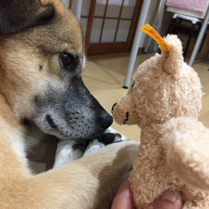 Ae2ea389 f559 4007 aee1 2c449a70a5ba