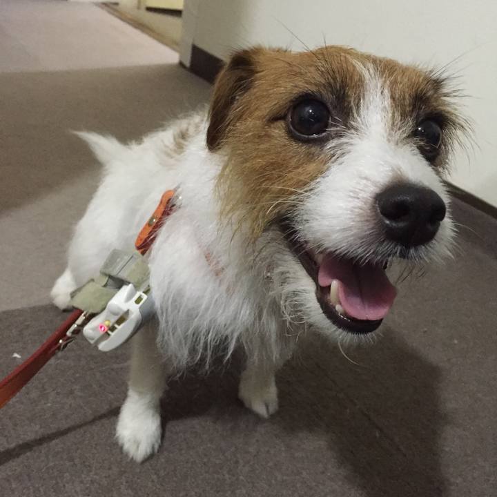 Ae2ea50c 4176 42b3 8175 98c092cef502