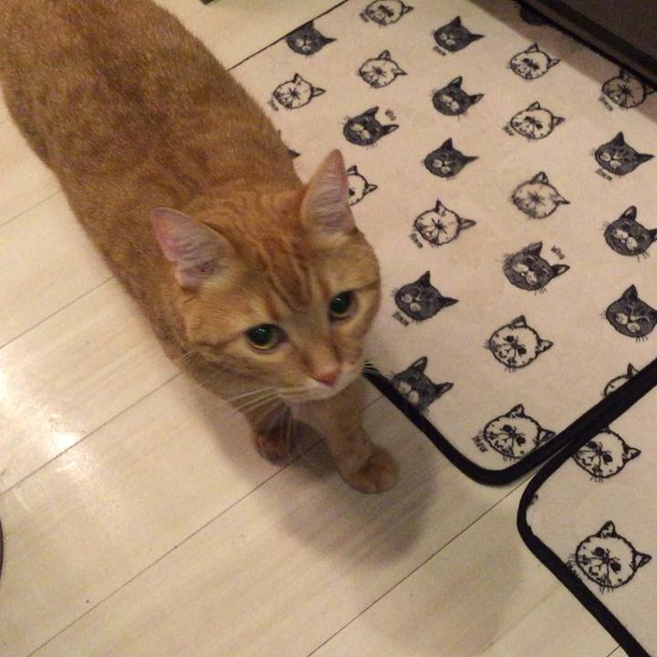 Ae2eb8ac 919c 4edd ac46 388e1f3587ae