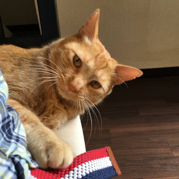 Ae2edcde f3c3 4526 bc30 56ca261da088