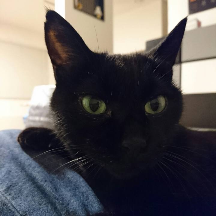 Ae2ee6a3 d36e 4873 a582 0cd1f2208b55