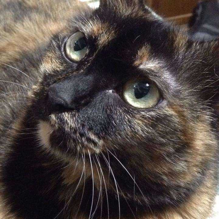 Ae2fe32d 0cd6 4b19 aafe dd4923bf12f5