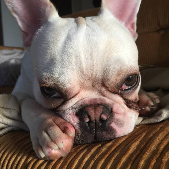 Ae30544a ec74 4c83 99d2 c74513d7037a