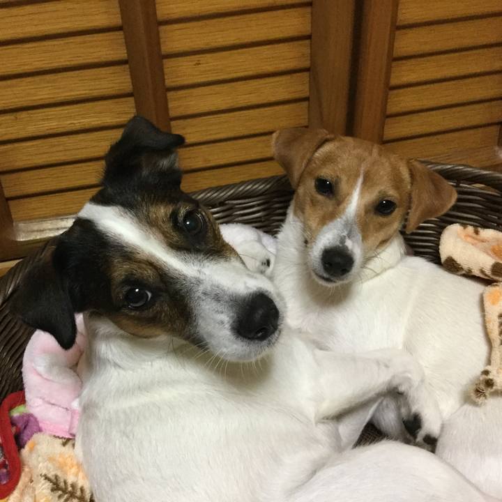 Ae31294d 613b 4e55 975c 90299d794dee