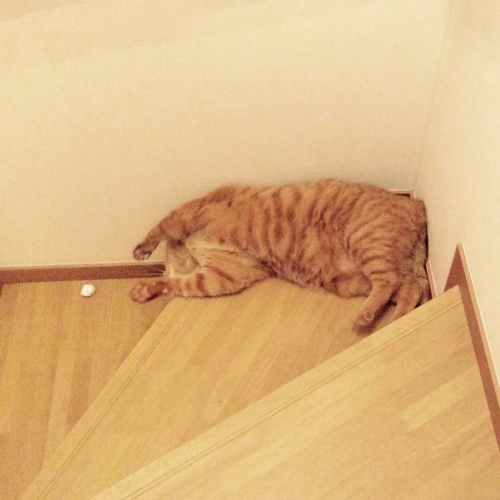 Ae3230d4 15f1 4eb4 8189 5e8684380a91