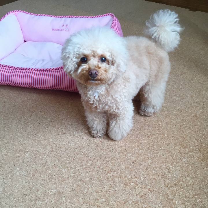 Ae3248c5 f2b4 4a5f 8bf9 a5b98e67f750