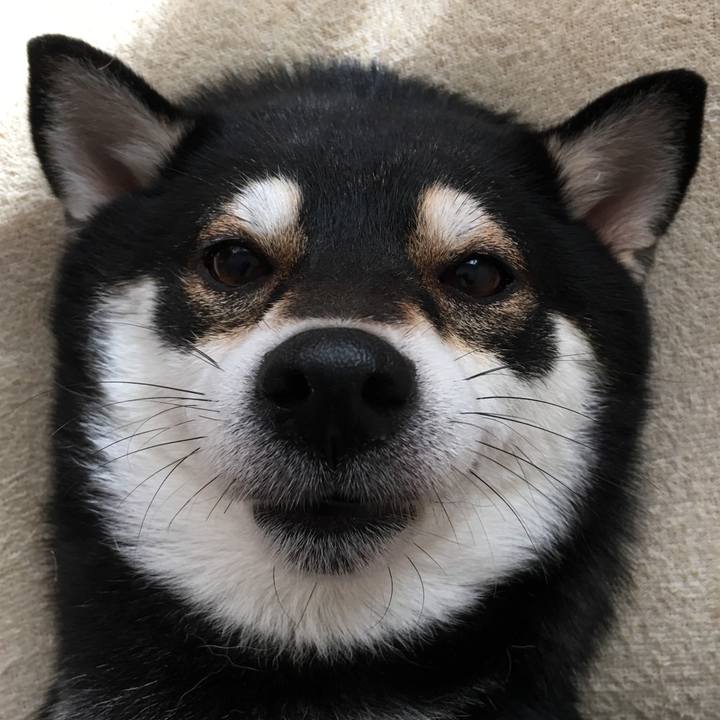 Ae32762e 7338 46f0 abda 1526bc1fb13c