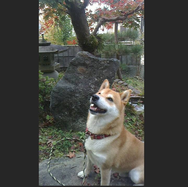 Ae32f26c 79bf 4181 90f5 df667d85ad1f