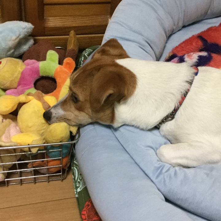 Ae331395 d6e8 4a3e bd84 352e81e786a9