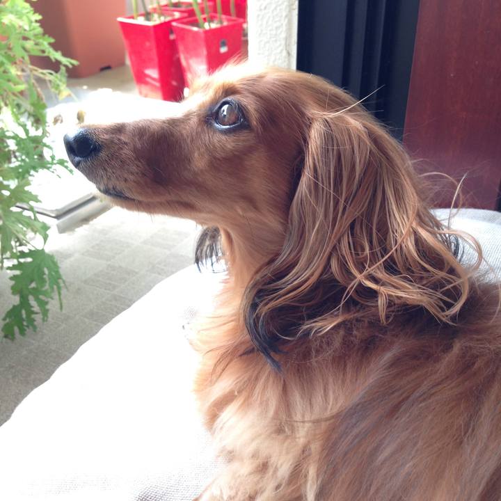 Ae335794 700e 4bb7 a5fc 8fc14e88b860