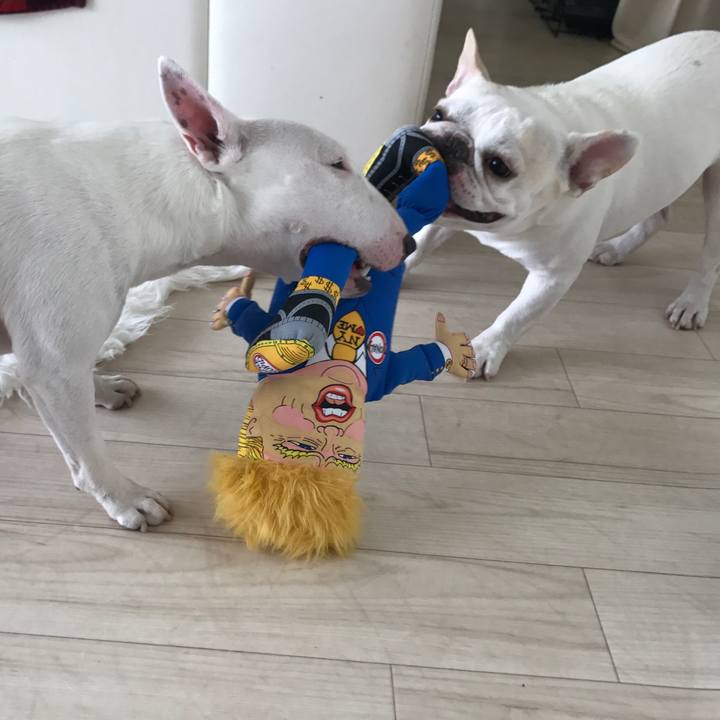 Ae335efc f6c6 4b09 a3e2 3d22805488f4