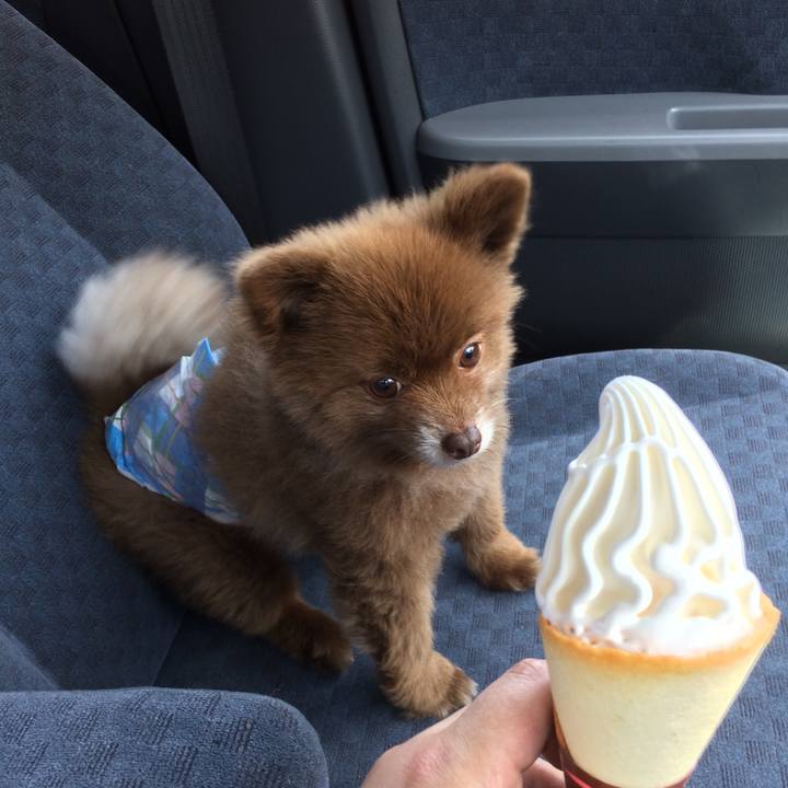 Ae343241 0644 49bb bbdd cb7a104e7829