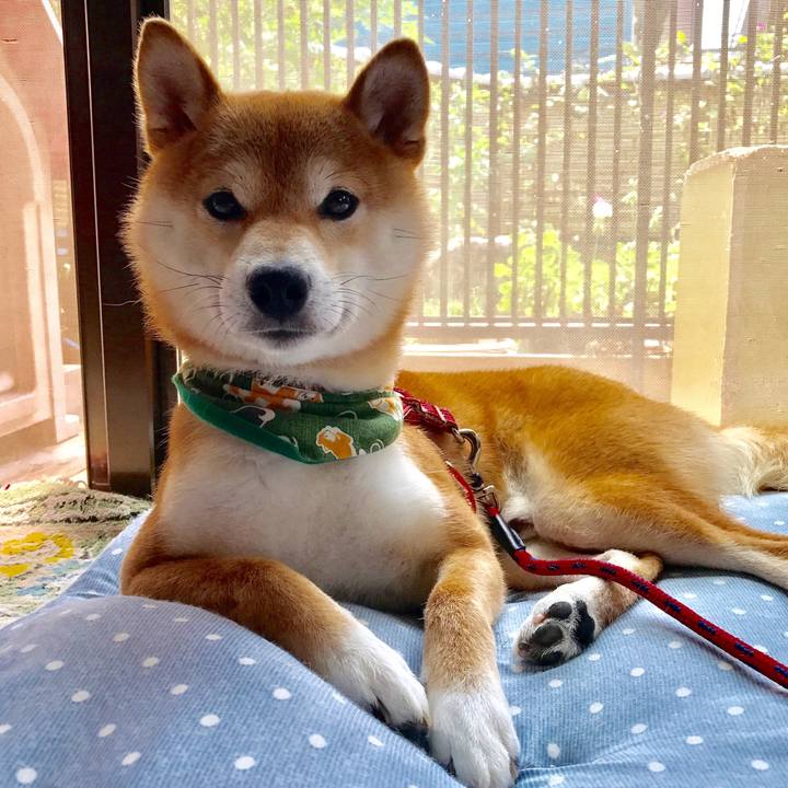 Ae344bc5 80ae 4ee6 b423 e9aec95d0528