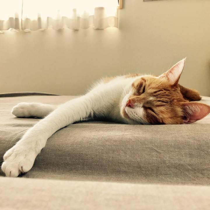 Ae34e066 dc8c 4459 ac67 d0a1773eab37