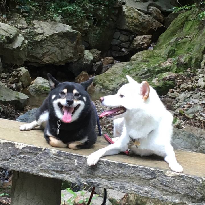 Ae3546de 87c7 4928 9c3e 2816d96512c5