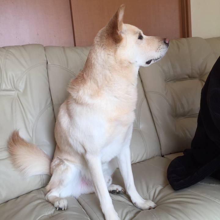 Ae358fa2 fb50 40c4 ad2d 4d097e6daf56