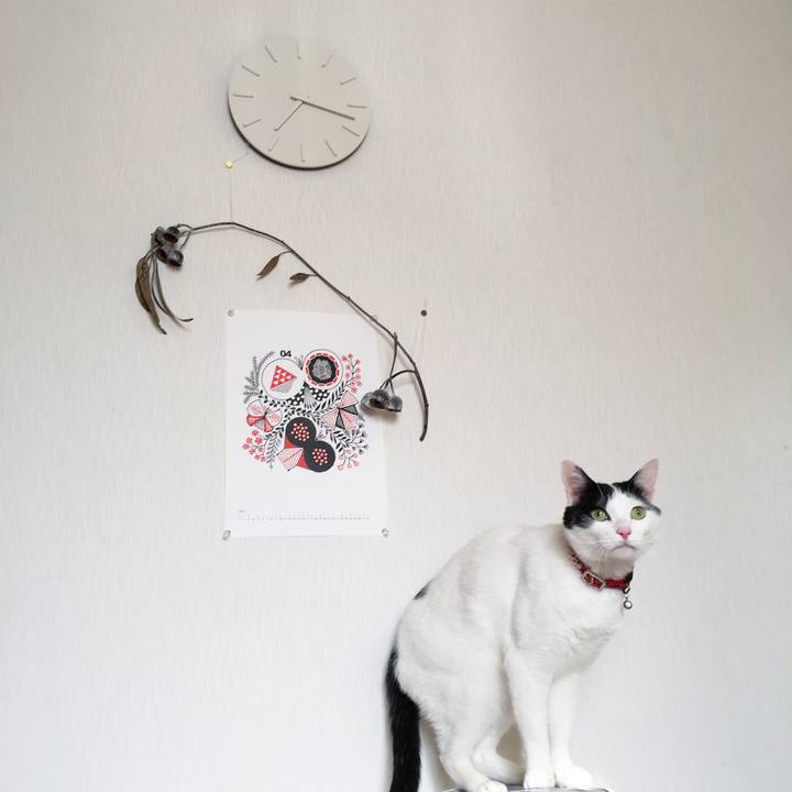 Ae35efad c708 40fd 9826 675ca06325e1