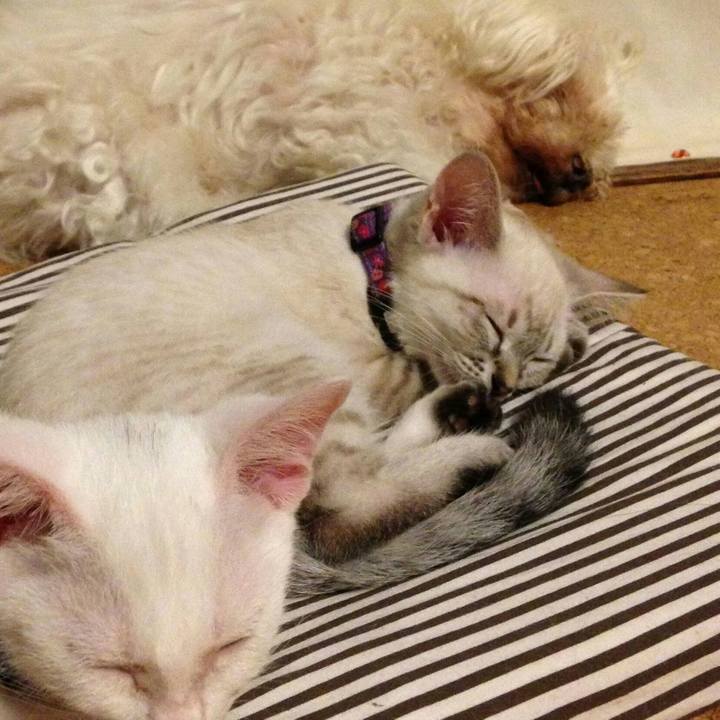 Ae368bc0 a725 468f 8512 9d322428906c