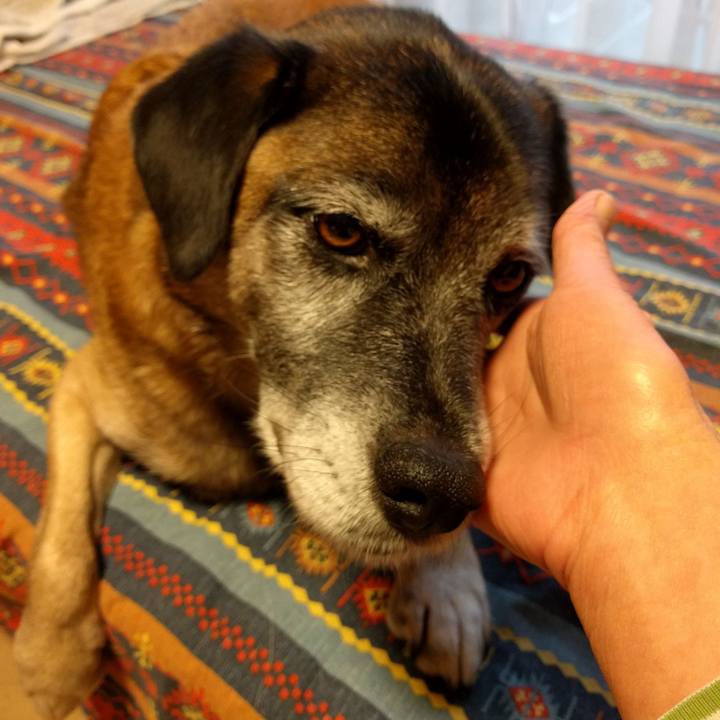 Ae392f8a 969f 48a0 885d 4355c27ee5d0