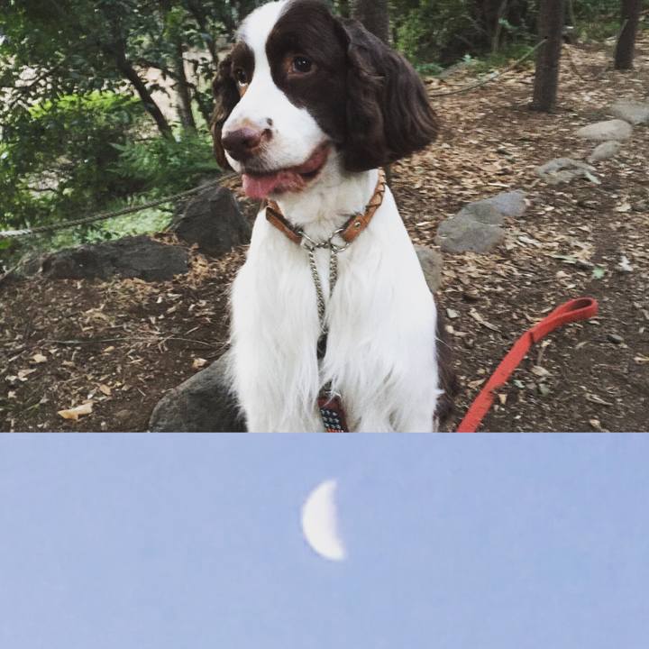 Ae3a5a6a 2fd3 4be0 b390 8fb9d10a323d