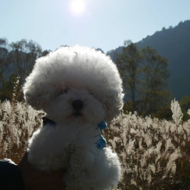 Ae3a7179 1dfd 4d55 a36f 3e09bb29e377