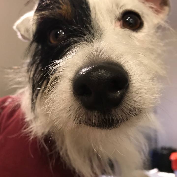 Ae3a8003 3a5c 40e8 bac6 30e36543ac28