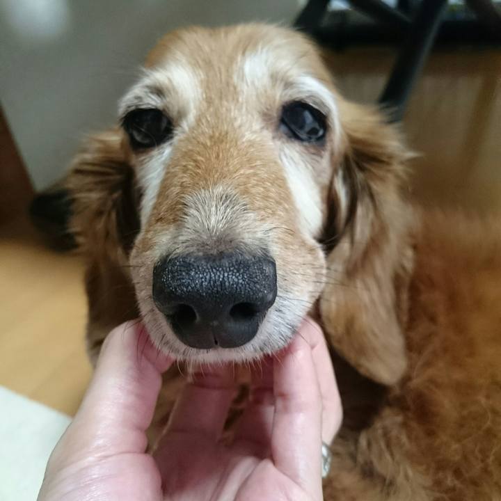 Ae3ad8a3 286b 4576 97c9 2040bc0248bf