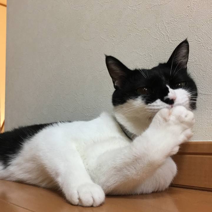 Ae3ae23c c4d8 4670 9fd1 bb95dc80ad6d