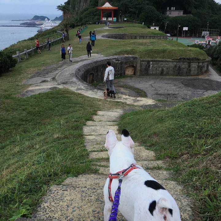 Ae3b34f7 c411 4bba 9ce7 9e0b84d43f46