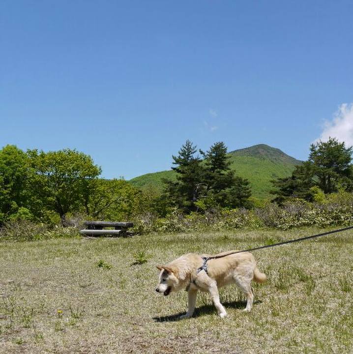 Ae3b4fbe 0dc7 4d3d bf9b dcc5b2172e98