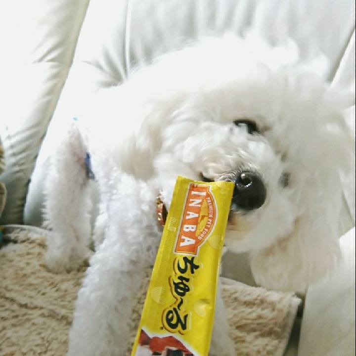 Ae3b64c6 496d 44a0 88d2 9d2e7b5e0dd1