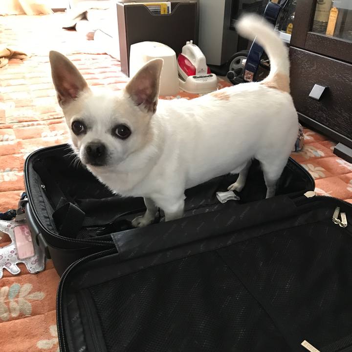 Ae3bf3a0 cebb 44ab 8238 08df6e092ece