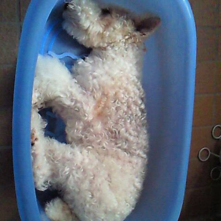 Ae3c0e18 235f 4aaf 97d9 0ac6936a08f2