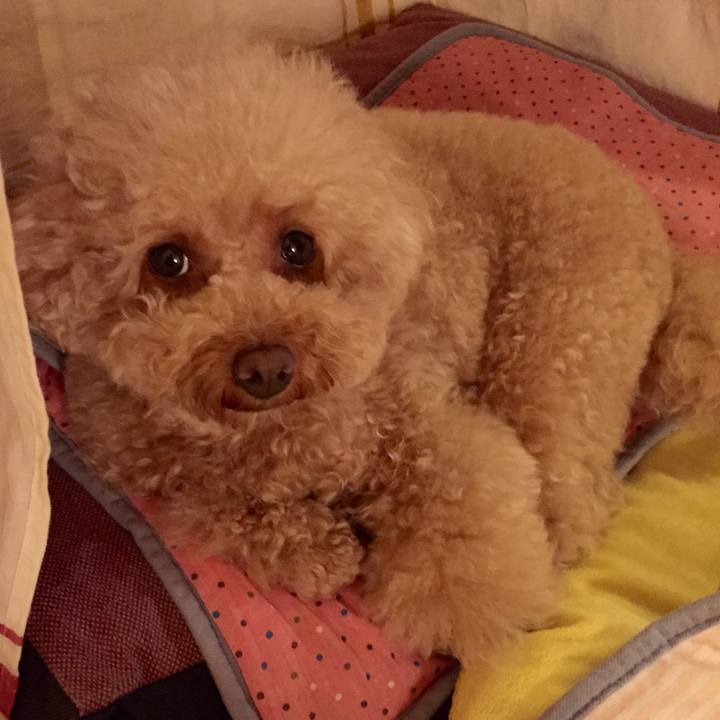 Ae3c8bf6 591b 4def b5fc cb2095beab06